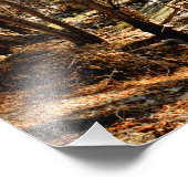Impression Photo Mont Baldy (Coin)