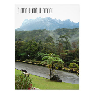 Impression Photo Mont Kinabalu et Jungle Borneo