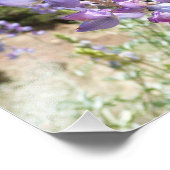 Impression Photo Mont Lupins (Coin)