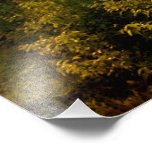 Impression Photo Mont Mitchell, coucher du soleil de printemps en C (Coin)