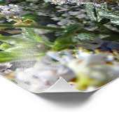 Impression Photo Montagne Brown (Coin)