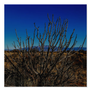 Impression Photo Montagnes Sandia Albuquerque