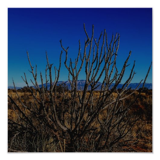 Impression Photo Montagnes Sandia Albuquerque (Devant)