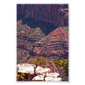 Impression Photo Montres Rafinesques (Devant)