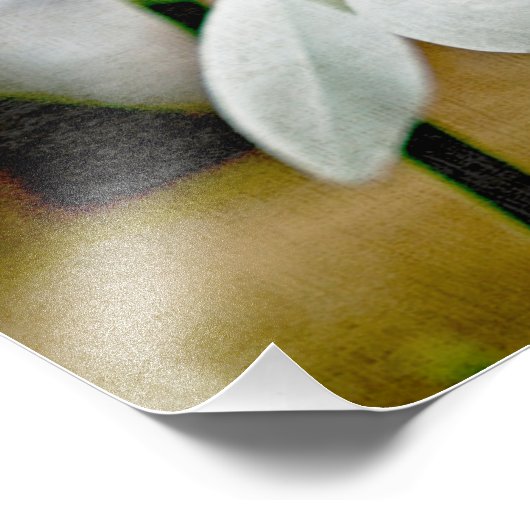 Impression Photo Moody Snowdrop (Coin)