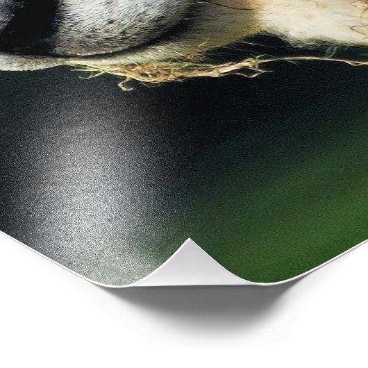 IMPRESSION PHOTO MOQUETTE (Coin)