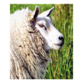 IMPRESSION PHOTO MOQUETTE (Devant)