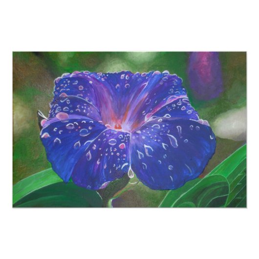 Impression Photo Morning Glory (Ipomoea Purpurea) Petals et Dew Dr. (Devant)
