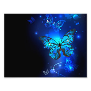 Impression Photo Morpho Butterfly in the Dark Background