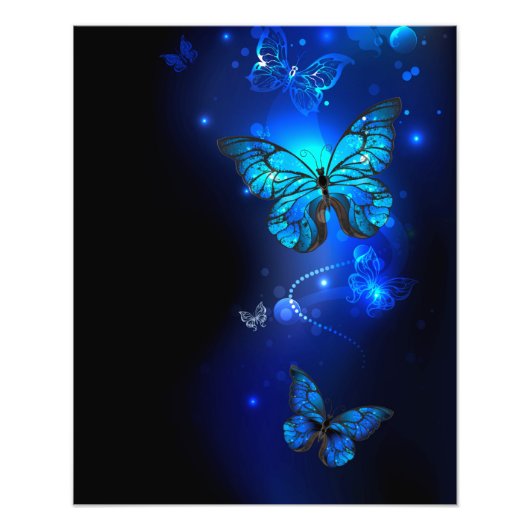 Impression Photo Morpho Butterfly in the Dark Background (Devant)