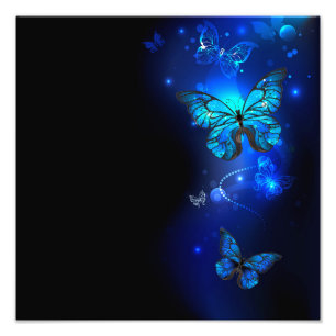 Impression Photo Morpho Butterfly in the Dark Background