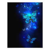 Impression Photo Morpho Butterfly in the Dark Background (Devant)