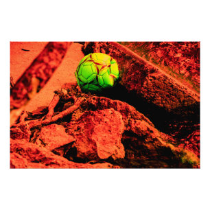 Impression Photo mosquitus