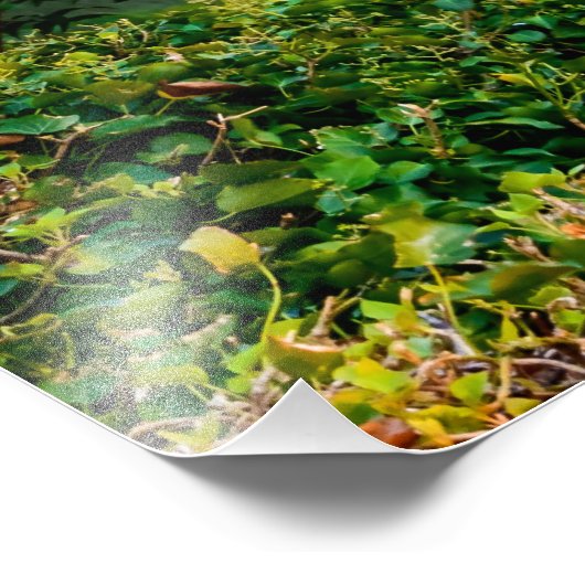 Impression Photo Mostar (Coin)