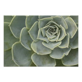 Impression Photo Motif Cactus (Devant)