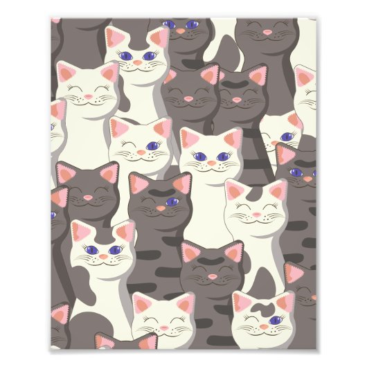 Impression Photo Motif de chats blancs et gris (Devant)