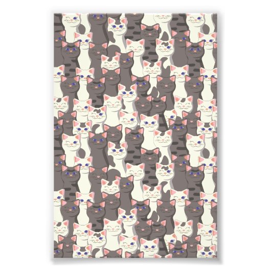 Impression Photo Motif de chats blancs et gris (Devant)
