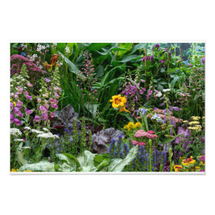 Impression Photo Motif de fleurs de jardin d'été vibrant en arrière