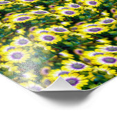 Impression Photo Motif de marguerite jaune (Coin)