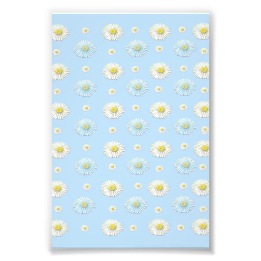 Impression Photo Motif de marguerite sur fond bleu clair  (Devant)
