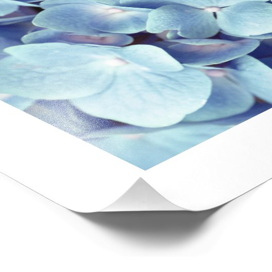 Impression Photo Motif doux bleu Hydrangea (Coin)