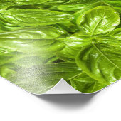 Impression Photo Motif Feuille Basil (Coin)
