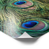 Impression Photo Motif Peacock Feather (Coin)