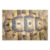 Impression Photo Motif Tortoise Shell (Devant)