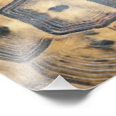 Impression Photo Motif Tortoise Shell (Coin)