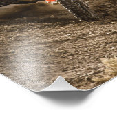 Impression Photo Motocross Rider (Coin)