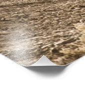 Impression Photo Motocross Rider (Coin)