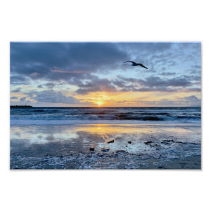 Impression Photo Mouette au coucher du soleil - Venice Beach, CA