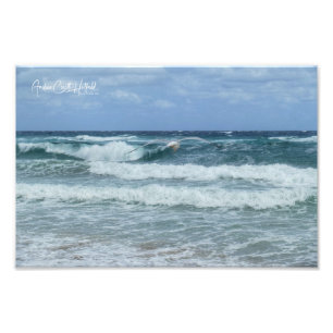 Impression Photo Mouette et Mer
