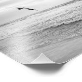 Impression Photo Mouette grise au-dessus de l'océan Noir et blanc (Coin)