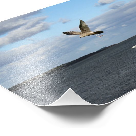 Impression Photo Mouettes en vol (Coin)