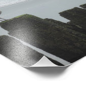 Impression Photo Mouettes marines à l'oeil (Coin)