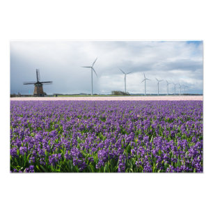 Impression Photo Moulin traditionnel et moderne en Hollande