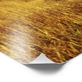 Impression Photo Moulton Barn sur Mormon's Row (Coin)