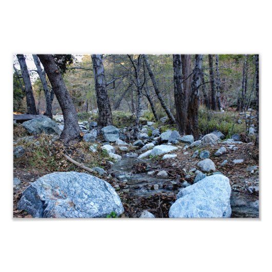 Impression Photo Mount Baldy  (Devant)