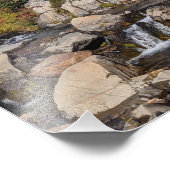 Impression Photo Mount Rainier et Edith Creek (Coin)