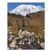 Impression Photo Mount Rainier et Edith Creek (Devant)
