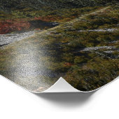 Impression Photo Mount Rainier Scenic Valley Landscape (Coin)