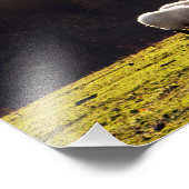 Impression Photo mouton basque (Coin)