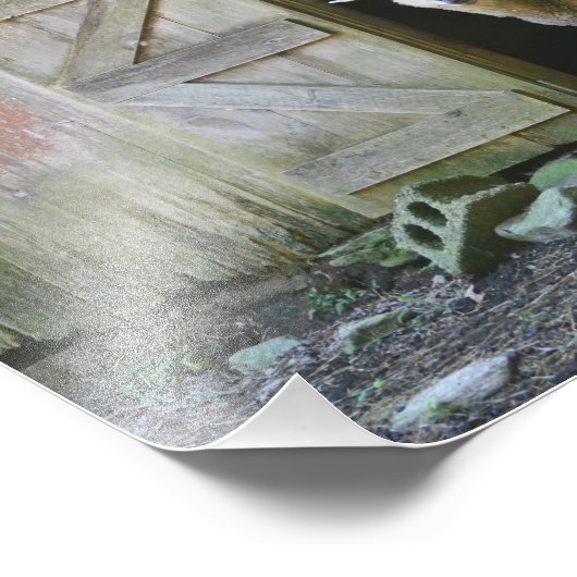 Impression Photo Mouton de campagne (Coin)