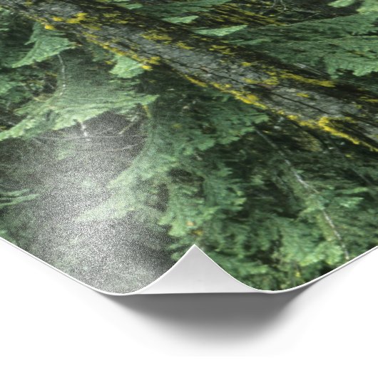 Impression Photo Mt. Ashland, Forêt nationale Rogue, (Coin)