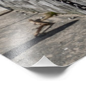 Impression Photo Mt. Washington Summit House (Coin)