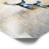 Impression Photo Mule Deer Buck & Doe Digital Fine Art Print (Coin)