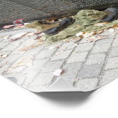 Impression Photo Mur commémoratif du Viet Nam (Coin)