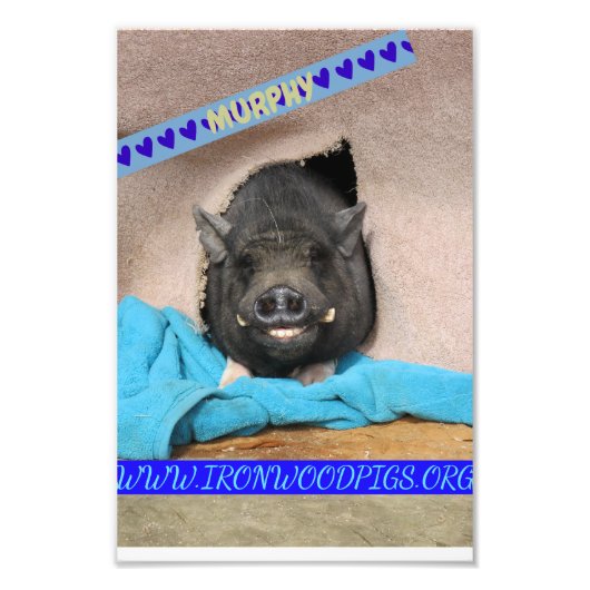 Impression Photo Murphy avec sa couverture bleue confortable imprim (Devant)