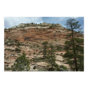 Impression Photo Murs de roche usés dans le parc national de Zion